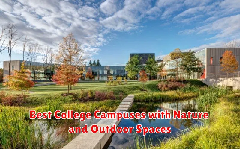 Best College Campuses with Nature and Outdoor Spaces