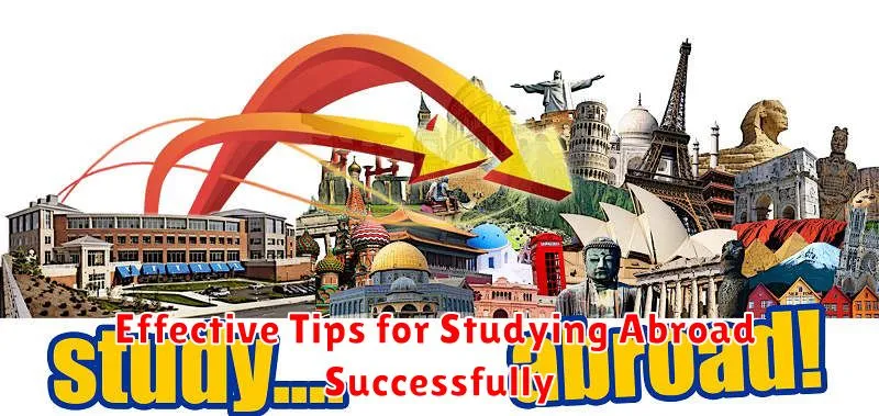 Effective Tips for Studying Abroad Successfully