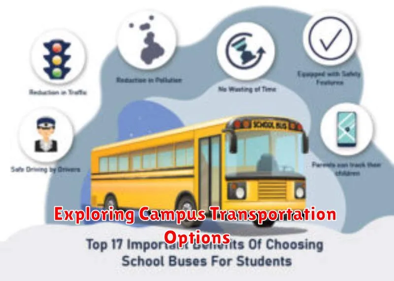 Exploring Campus Transportation Options